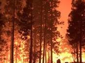 cambio climático incendios alta demanda madera