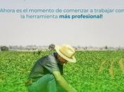 Visualización automática recintos agrícolas