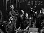 Thaikkudam Bridge Namah (2019)