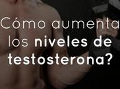 ¿Cómo aumentar niveles testosterona?