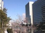 Actualización firmware Vita