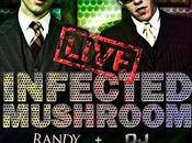 Infected Mushroom Madrid (Actualizado)