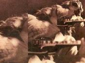 Cuero Crecimiento (1974)