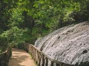 Descubre Monasterio Piedra