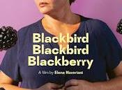 Blackbird, blackberry (2023), elene naveriani.