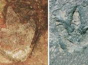 Huellas dinosaurios idénticas descubiertas continentes