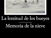 lentitud bueyes. Memoria nieve