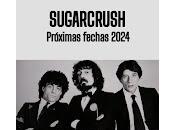 Sugarcrush, conciertos 2024