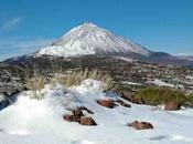 Destino…Tenerife