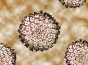 virus papiloma humano cura homeopatía