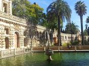 Sevilla: Visitar Alcázar, Catedral Giralda solo recorrido