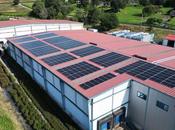 Nuevas instalaciones fotovoltaicas Bikote Solar sector agroalimentario