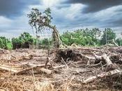 maneras cambio climático afecta nuestra salud.