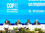 COP16 arrancará países incumpliendo plazo para presentar planes acción