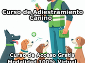 Curso Adiestramiento Canino Modalidad 100% Virtual Acceso Gratis