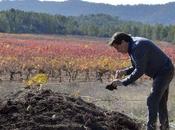 Bodegas Vegalfaro; vinos ecológicos alta calidad desde corazón Valencia