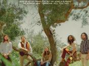 Sheepdogs Handle (2024)