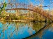 Puente camuflado paisaje