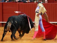 'arte' toreo