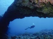 unión europea estudia proteger cumbres submarinas canarias