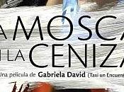 mosca ceniza: