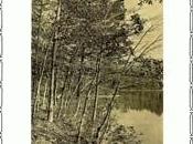 Walden, Henry David Thoreau