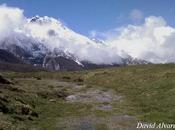 Buscando ranas Picos Europa