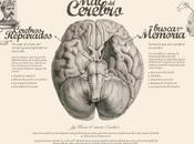 cerebro