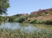 riberas Guadaíra, Monumento Natural