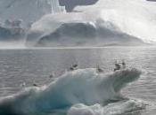 Ártico sufre efectos cambio climático Planeta Azul