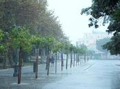 Activado este miércoles aviso rojo lluvia Málaga, naranja Granada amarillo Sevilla Córdoba