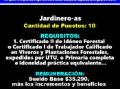 Jardinero-as