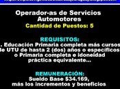 Operador-as Servicios Automotores