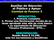 Auxiliar Atención Público Apoyo