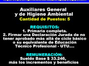 Auxiliares General Higiene Ambiental