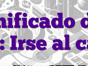 Significado frase: Irse carajo