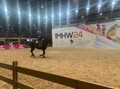 Ifema madrid horse week 2024