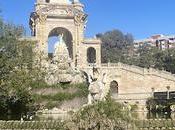 Gaviotas Reidoras anilla Parc Ciutadella