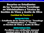 Becarios-as Estudiantes Tecnicaturas,Tecnólogo Vitivinicultura Técnico Gestión Vinos Aceite Oliva