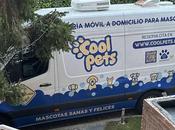 Cool Pets, nueva dimensión cuidado higiene mascotas