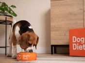 comida casera para perros llega domicilio Dogfy Diet