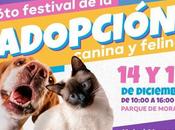 Invitan sexto Festival Adopción Canina Felina Parque Morales