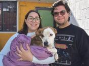 Soledad Graciano Sánchez impulsa adopciones responsables para garantizar bienestar animal