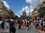 Descubrir magia Walt Disney World planificación experta Madox Viajes