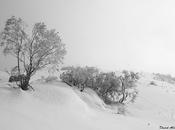puede atrapar imagen sensación frío?
