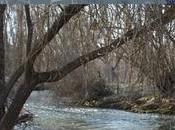 Reseña: arena reloj'