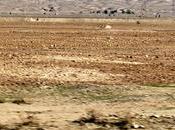 Irak primeras impresiones ciudad mosul