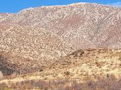 Irak amadiyah fábrica tahine