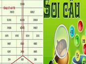 trong miền phải biết