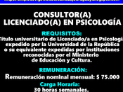 Consultor licenciado-a psicología
